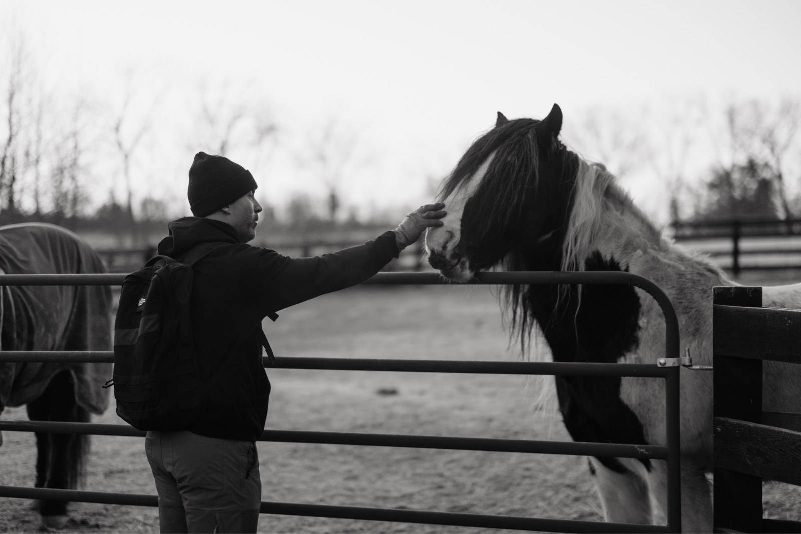 Josh Kosnick standing at a fence reaching to touch the face of a black-and-white paint horse at dusk, photographed in black and white.